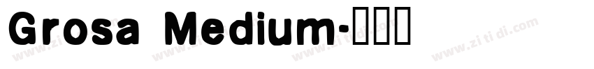 Grosa Medium字体转换
